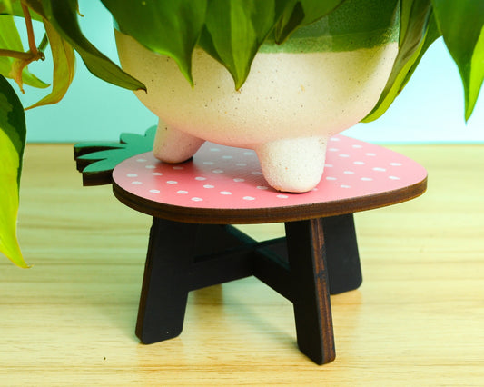 Strawberry Plant Stand
