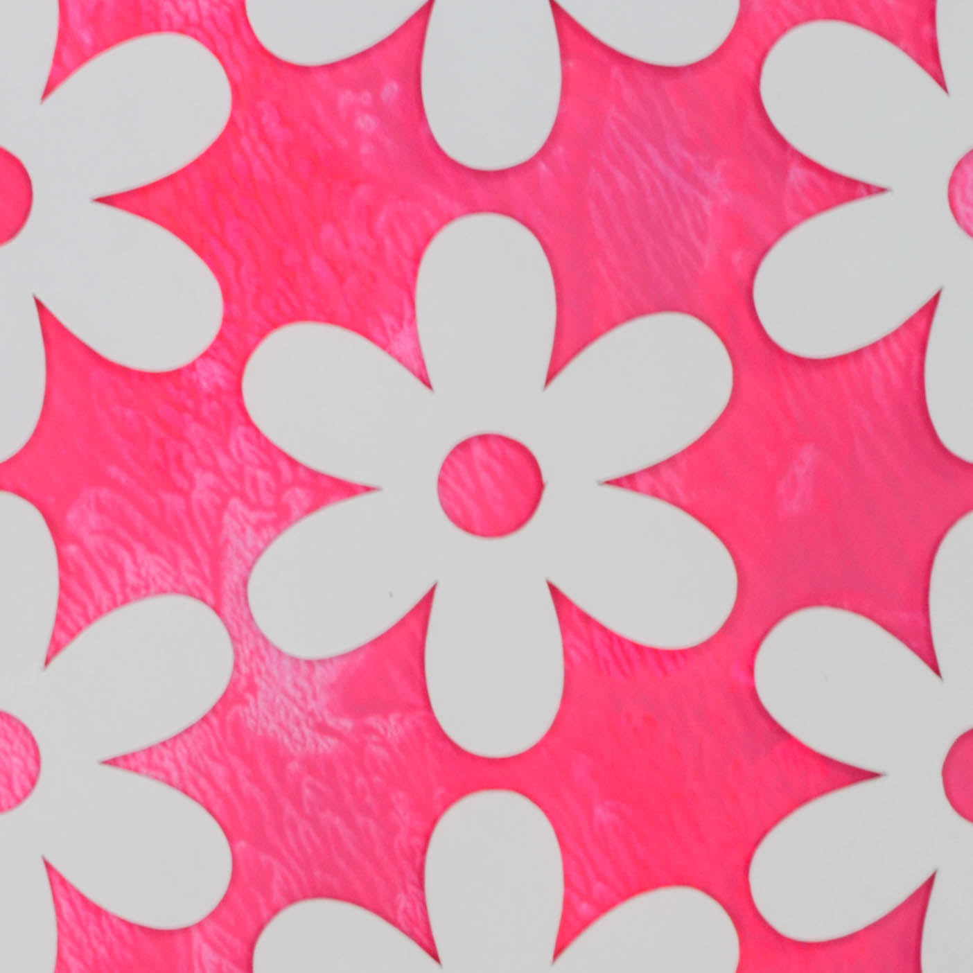 Daisies