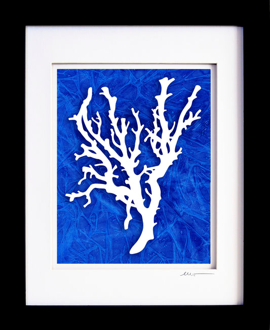 Coral Papercut
