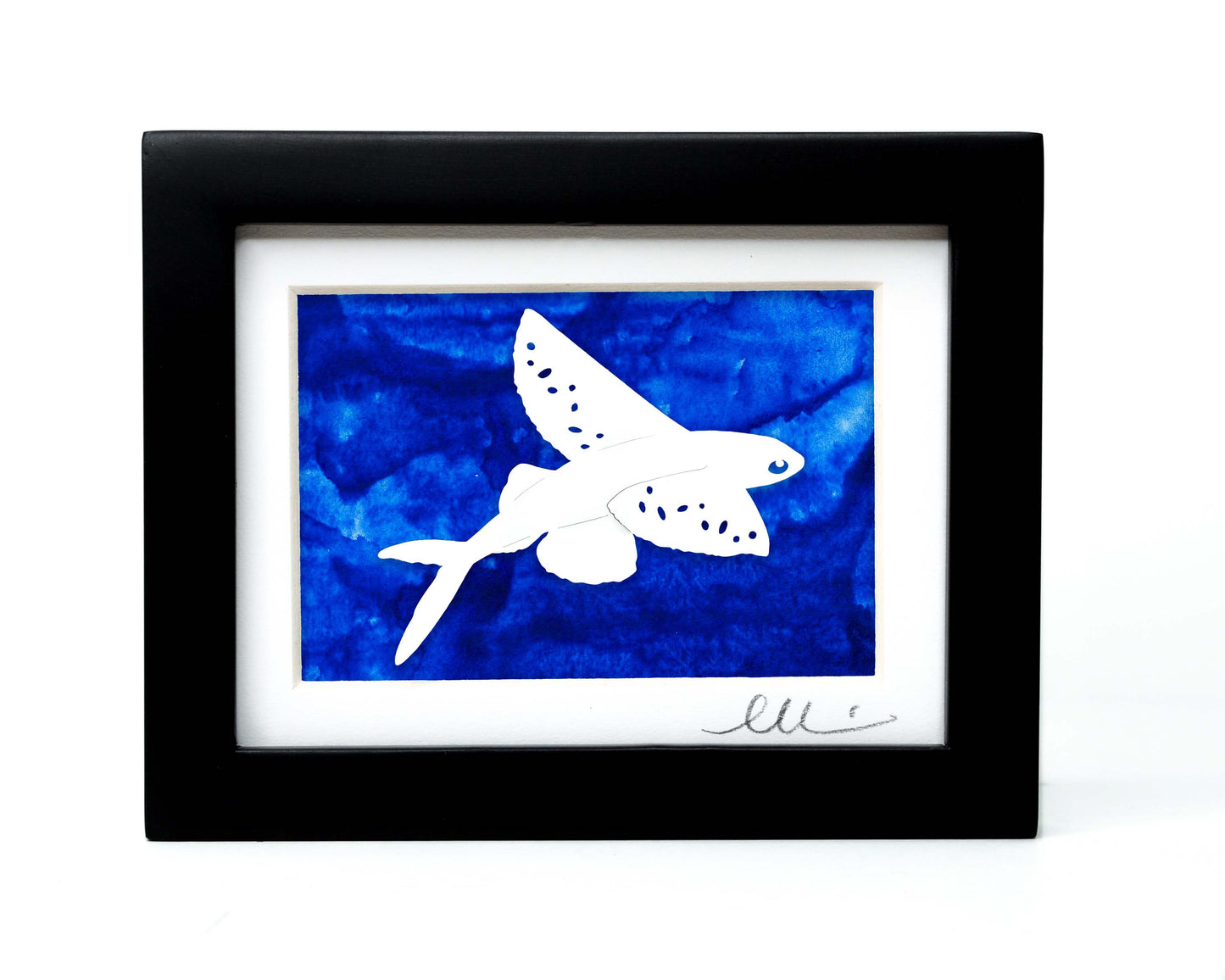 Flying Fish Papercut